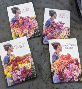 This week, my head gardener Ryan McCallister, started four dahlia mixes from Floret - Bee's Choice, Cancan Girls, Petite Florets, and Shooting Stars.