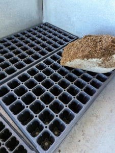 When starting from seed, it is helpful to use seed starting trays. These trays provide controlled environments that help ensure moisture levels are consistent, preventing seeds from drying out or becoming waterlogged.
