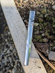 This tool is great for transplanting seedlings – it’s also from Johnny’s Selected Seeds. It’s called a widger. It has a convex stainless steel blade that delicately separates the tiny plants.
