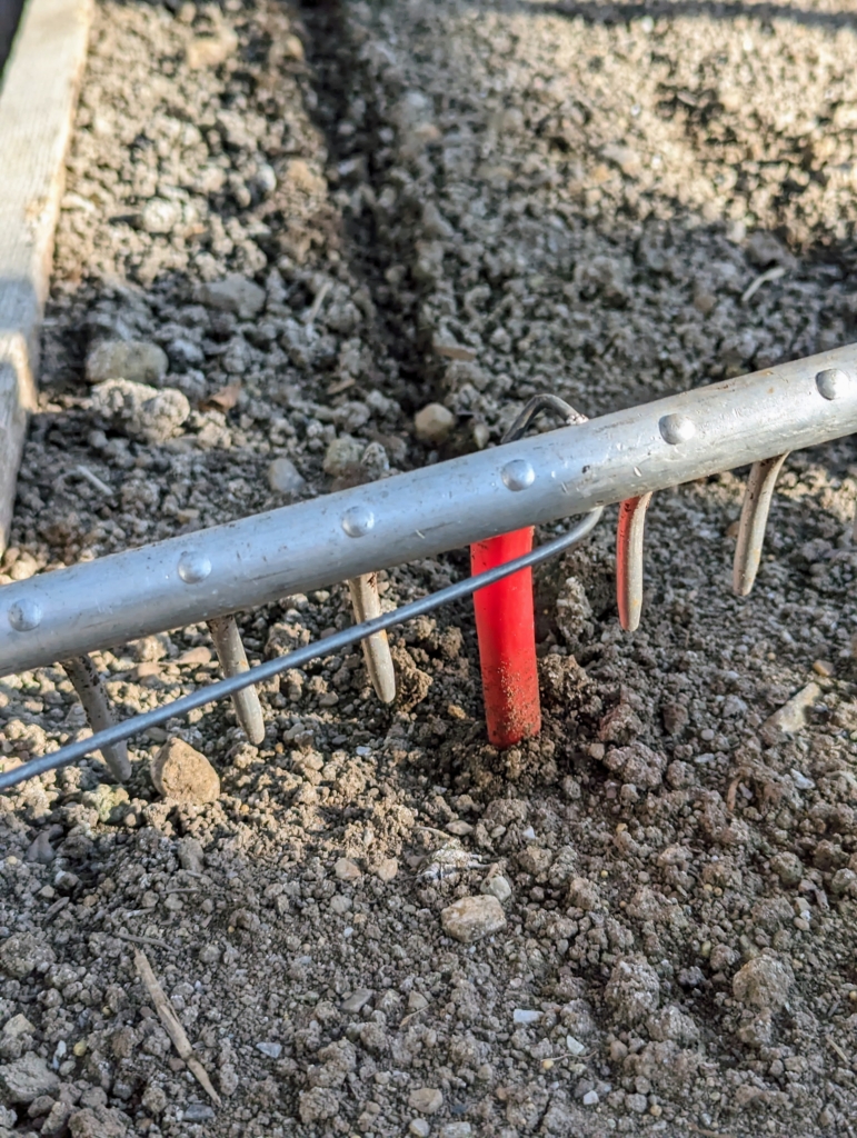 Preparation Rake What's Happening in My Vegetable Greenhouse - The Martha Stewart Blog