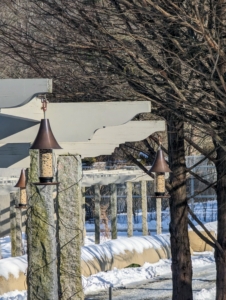 When starting to feed birds, it may take time for new feeders to be discovered. Don’t be surprised if the feeding station doesn’t get birds right away. As long as feeders are clean and filled with fresh seed, the birds will find them.