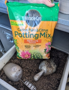 For succulents, we use a mix specifically formulated for succulents. This mix contains sand and perlite to help prevent soil compaction and improve drainage. The right soil mix will help to promote faster root growth and provide quick anchorage to young roots.