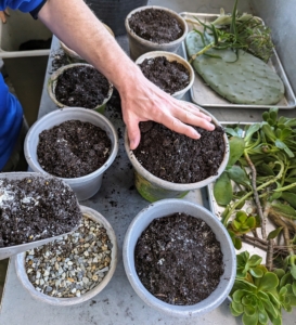 Ryan fills the pots with the soil mix, adding just enough so it is filled up to a half inch below the top of the pot. He also lightly taps on the soil, so it packs into the container for added support.