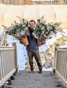 Here's my head gardener, Ryan McCallister, bringing in two Dendrobium orchids into my Winter House. Native to Southeast Asia, the genus Dendrobium is among the largest of all orchid groups. There are more than 1000 individual species that vary in size, bloom color, and appearance. Dendrobiums grow in all climates, from hot, wet lowlands to high-altitude, colder mountains. All Dendrobiums are epiphytes, which means they grow on other plants. In nature, they grow on the branches of trees.