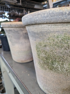 Though different types of plants have varying preferences in terms of pot size and needed root space, most grow well when pots are at least two-inches larger in diameter than the plant's original pot.