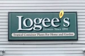 Logee’s is a great source for all kinds of plants – orchids, succulents, fruit trees, exotics, etc. Once Byron took over the family business, he wanted to be sure Logee’s was a place that could provide unusual tropical flowering and fragrant specimens that performed well in pots. Logee's nursery now has six tropical greenhouses.