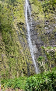 The weather was pretty dry during their vacation, but the father-son duo did pass a waterfall during one of their hikes.