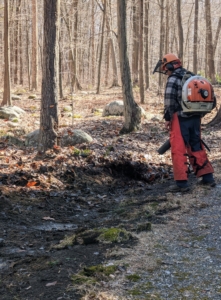 Pasang is in the woodland blowing old leaves leftover from last fall. He's using one of our very dependable STIHL backpack blowers.