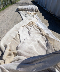 The burlap covers can be used for three seasons. Once they are no longer useable as covers, they are repurposed in the gardens to prevent weeds.