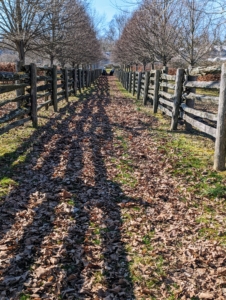 We had a pretty mild winter here in the Northeast, so my outdoor grounds crew has been able to get a strong start to all our early spring chores around the farm. Among them - blowing and removing all the leaves that were not blown last fall.