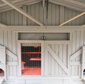 The coop is well-protected with interchangeable windows, so screens can be used on warmer days.