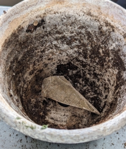 There is a hole at the bottom of each pot. A clay shard is placed over the hole to help with drainage. We always save the shards from any broken pots - it is a great way to reuse those pieces.