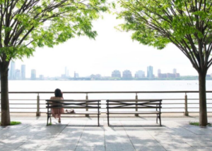 I encourage you to visit the next time you're in the area - you will see why Hudson River Park is so special. (Photo courtesy of HudsonRiverPark.org)
