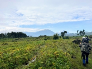 Here is the base of the volcano we would be climbing. We were divided into groups no greater than 10 to prevent scaring the gorillas. We were accompanied by two tour guides, two gorilla trackers, and porters who helped carry our belongings.