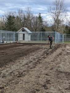 And then amended the soil with compost.
