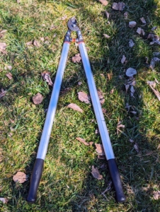These are bypass loppers for branches up to two-inches in diameter.