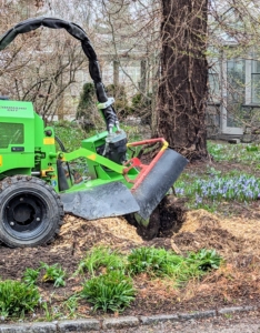 This machine is controlled remotely from a handheld unit. In just minutes, the stump is reduced to wood chips and shavings. Any old roots will eventually decay into the soil.