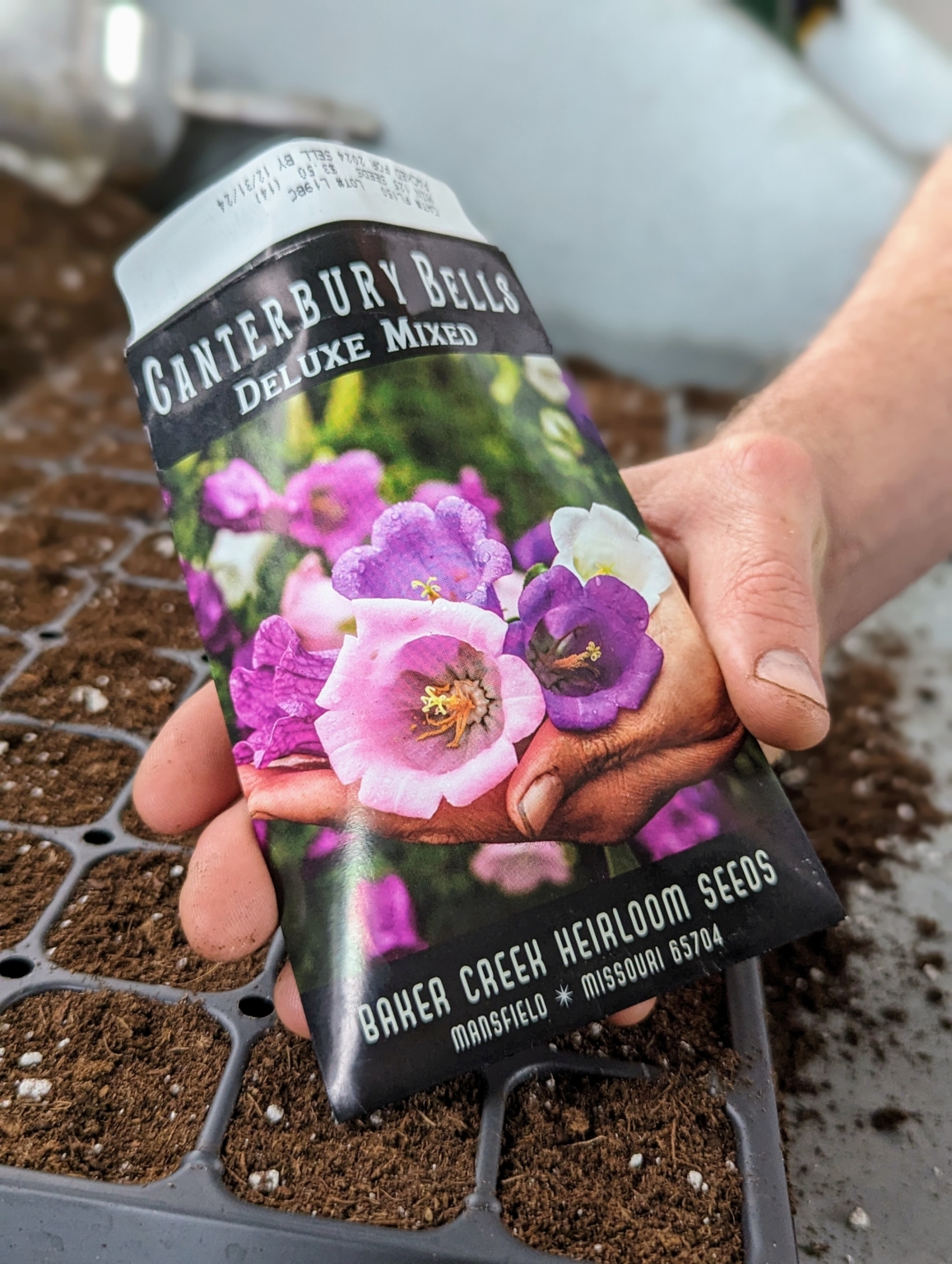 Seed Starting with Baker Creek Flower Seeds - The Martha Stewart Blog
