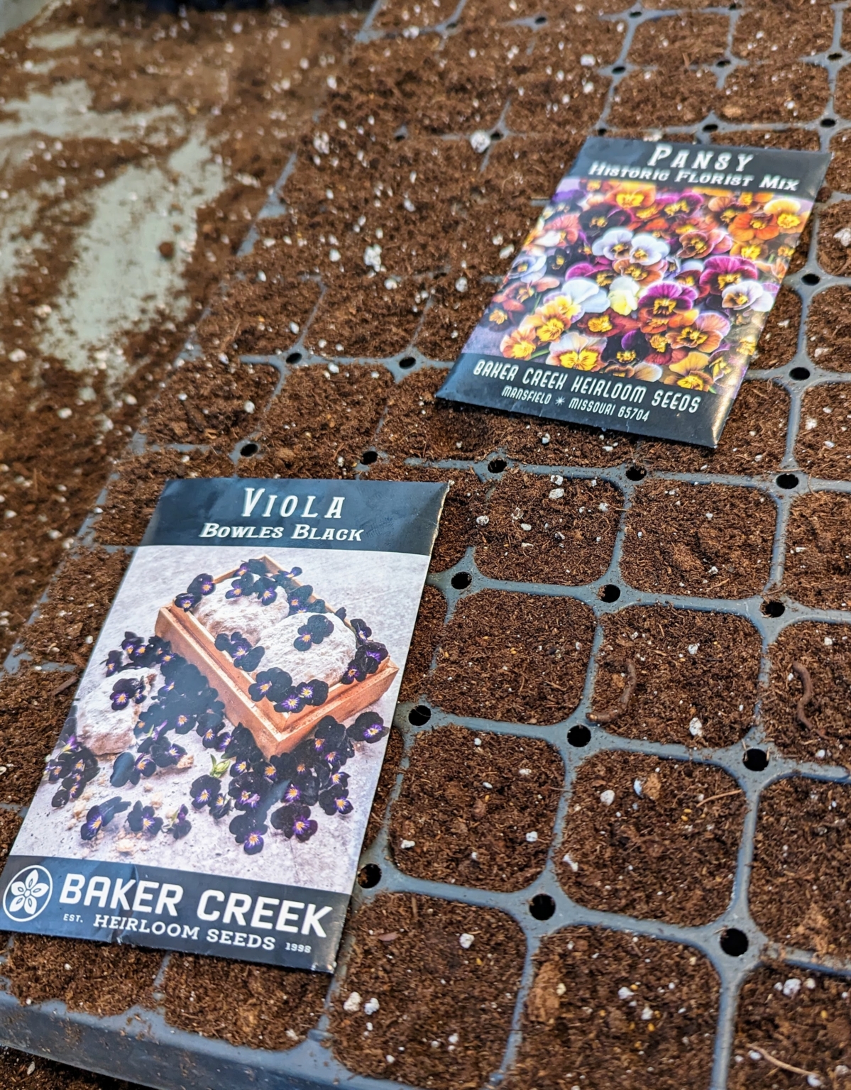 Seed Starting with Baker Creek Flower Seeds The Martha Stewart Blog