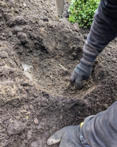Once a hole is dug, Phurba thoroughly mixes the fertilizer with the soil. This is important, so the fertilizer does not have too much direct contact with the roots, which could burn them.