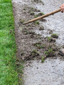 Once a section has been edged, Pete pulls away the unwanted vegetation between the cut edging line and the lawn using a paddle hoe. The hoe has a six-inch blade on a 52-inch wooden handle attached with a goose-neck for good alignment.