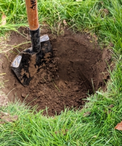 When planting a tree or shrub, measure the height of the root-ball to determine the approximate hole depth. Measure the diameter of the root ball to determine the width of the hole. The hole should be no deeper than the calculated depth. The rule of thumb is that the width of the hole should be a foot wider than the root-ball diameter.