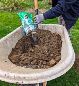 And then some is also mixed with the backfill soil. We use Miracle-Gro Shake 'n Feed Flowering Trees & Shrubs Plant Food, which contains micronutrients to nourish above and below the soil.