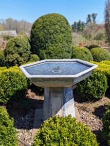 And here is one of two hand-casted antique fountains I purchased many year ago. It is turned on with the smallest dome of water possible – I wanted to be sure it was an attractive spot for visiting birds.