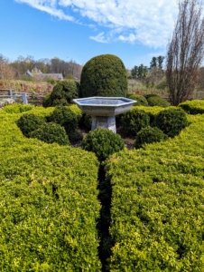 The fountain is surrounded with smaller boxwood shrubs and a sculpted boxwood hedge. I love this view looking over the peaceful fountains and out onto the pretty spring landscape. It is so lovely to see everything strong, healthy and beautiful.