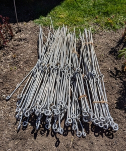 When staking, instead of the round rings that are available at many garden centers, I prefer to use these metal stakes that I designed myself for my farm. Each metal support has two eyes, one at the top and one in the middle. These stakes are about three feet tall.