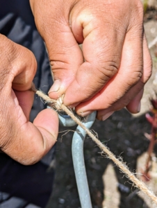 Once the bottom is done, Phurba knots another string of twine in the upper eye of a corner stake and laces the top row in the same manner.