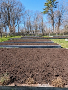 Look at all the beautiful beds now ready to be planted. It is very easy to plant in raised beds because of the light, fluffy, well-drained soil, which encourages vigorous plant growth.