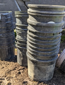 We save pots whenever we can – they always come in handy for projects like this, and I always encourage the crew to reuse supplies whenever possible.