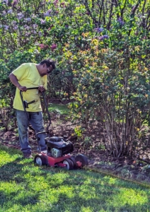 As part of our maintenance program, we edge the lilac beds. These beds are rectangular in shape. Here's Pete making very straight lines along both sides. The blade of the edger can be adjusted to a cutting depth of up to four inches.