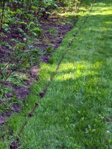 Over the course of the year, grass and weeds grow at these edges, so it’s a good idea to go over the areas regularly.