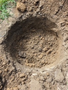 Each hole is dug precisely with enough room for the plant’s root ball. The rule of thumb when planting is to dig the hole two times as wide as the rootball and no deeper than the bottom of the rootball, similar to how it is in its pot.