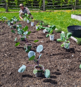 My gardens are often photographed and videotaped for television, print, and social media – from the ground and from up above, so it is crucial that they look their best. Ryan lines up the plants so they can be planted in perfectly straight rows.