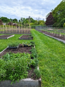 There's a lot more planting to do, but it's a great start to the planting season. Have you started planting in your vegetable garden?
