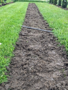 For each section of plantings, the first step is to remove the sod from the designated area. The sod is used in another section of the farm, so nothing is wasted.