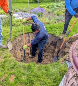 The hole is dug deep. For any tree, the rule of thumb for planting is to create a hole that is two to three times wider than the root ball, but only as deep as the root ball.