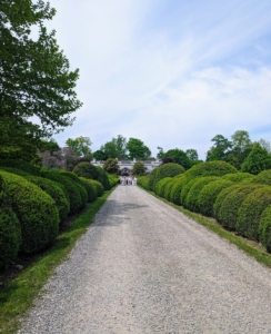 Then it was a walk down the great Boxwood Allée with a quick stop at the pool. Every group experiences a different tour when they visit the farm depending on what is blooming at the time. This was such a beautiful day for a tour and the gardens all looked so wonderful.