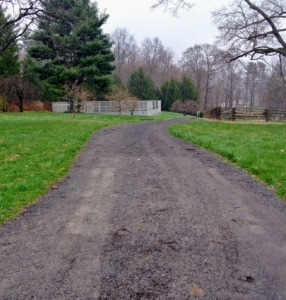 Here is a photo of the carriage road to my tennis court taken eight years ago. It looked quite bare then and in need of a pretty allée.