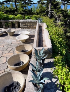 The plants are carefully placed around the terrace, in or close to where they will be displayed for the season. The stone trough I bought at Trade Secrets in 2013. It has worked perfectly here at Skylands.