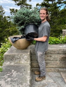 And this is Amos Price ready to pot up this evergreen. To protect the rather porous and fragile pots, I like to line them with garbage bags, so the pots don’t soak up too much water. The garbage bags have drain holes at the bottom and are neatly tucked inside the pot, so they are not visible.