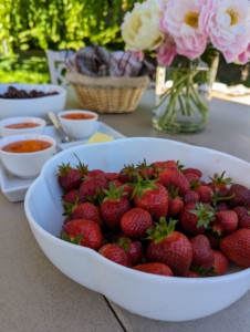 Look at these gorgeous strawberries. They were just picked from my patch minutes before my guests arrived.