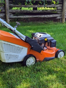 And try to always mow when the grass is dry. We only mow dry grass at the farm. Mowing a wet lawn doesn’t harm the grass, but it can fill and clog a mower, and make the cut look uneven. Mid-morning mowing is the healthiest for your grass - it's cooler, drier and allows time for the grass to recover after cutting.