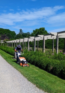 Adan Morales is my resident mower. He knows exactly which mowers are best for every area of the farm. Here he is mowing the narrow strips of grass next to my pergola. Another benefit of this mower is that it is equipped with a blade brake clutch system that allows one to stop the blade without restarting the engine to remove obstacles in the path.