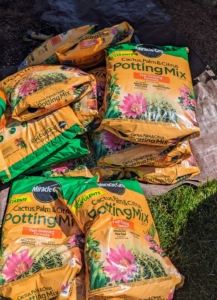 We use Scotts Miracle-Gro Cactus, Palm & Citrus Potting Mix, which is fast-draining and is designed for both indoor and outdoor container plants. The mix contains a blend of sand, perlite, and sphagnum peat moss, which helps prevent soil compaction, improve drainage, and retain water and nutrients.