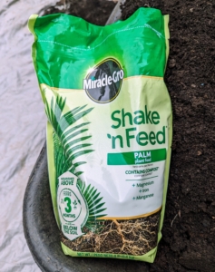 Miracle-Gro Shake 'n Feed Palm Plant Food is added to the soil scooped into the container. This fertilizer continuously nourishes tropical plants for up to three months. It contains magnesium, iron, and manganese to reduce the risk of yellowing or curling fronds.