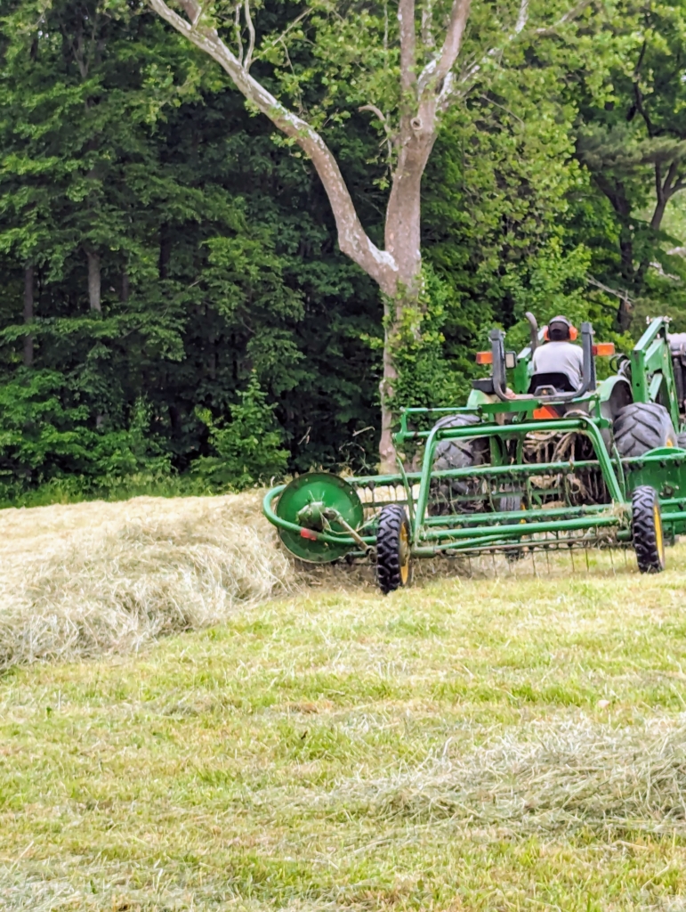 Hay Making Windrows The First Cut of Hay 2024 - The Martha Stewart Blog